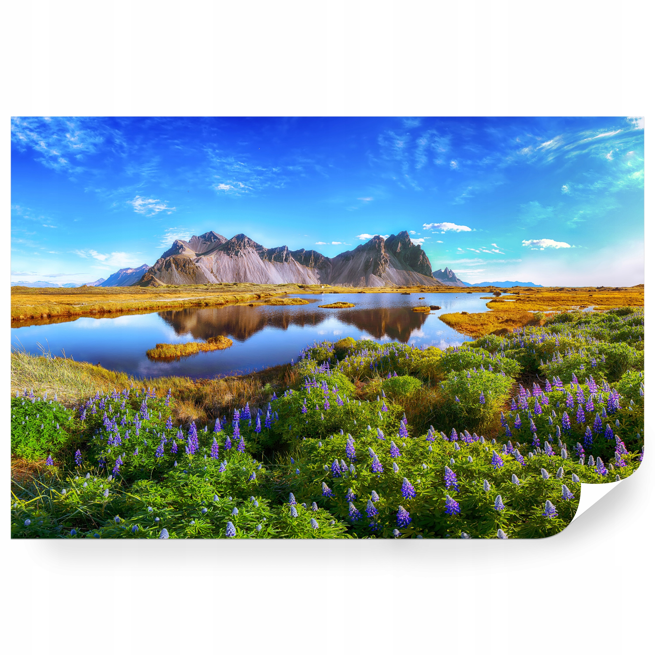 Fototapeta samolepicí Island Slunečný Den A Lupiny 416 x 254 cm