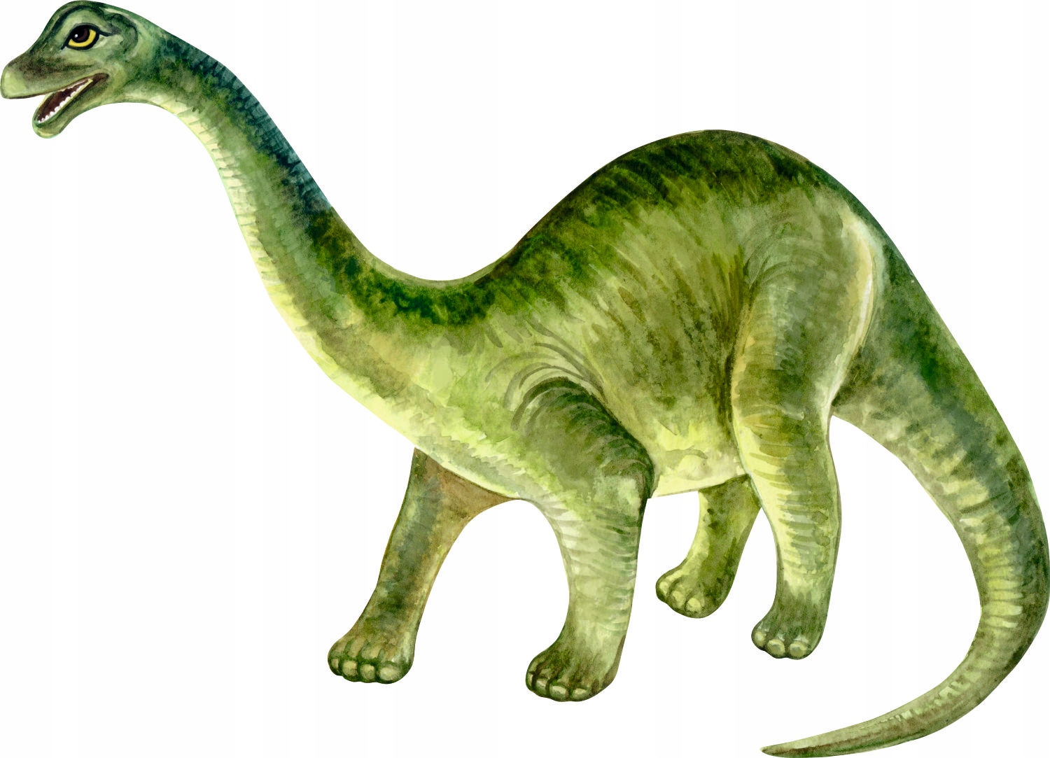 

Naklejka Na Ścianę Dinozaur 9 Wzorów