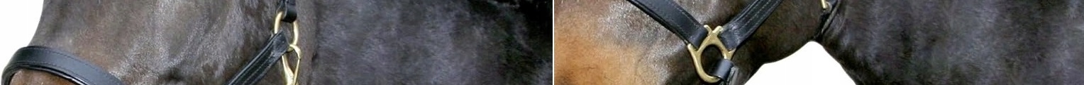 Cob 2 MOCNY KANTAR SKÓRZANY ZE SKÓRY DLA KONIA KONI UZDA CZARNY Rozmiar 2 (cob)