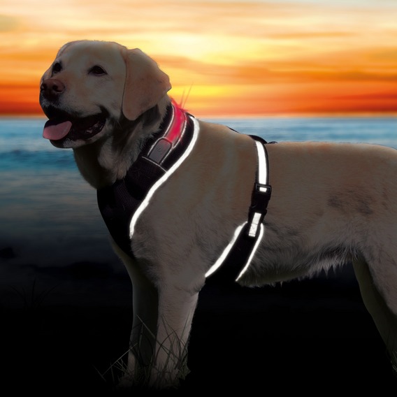 

Trixie Szelki Flash Saferlife Xs-s 40-50cm