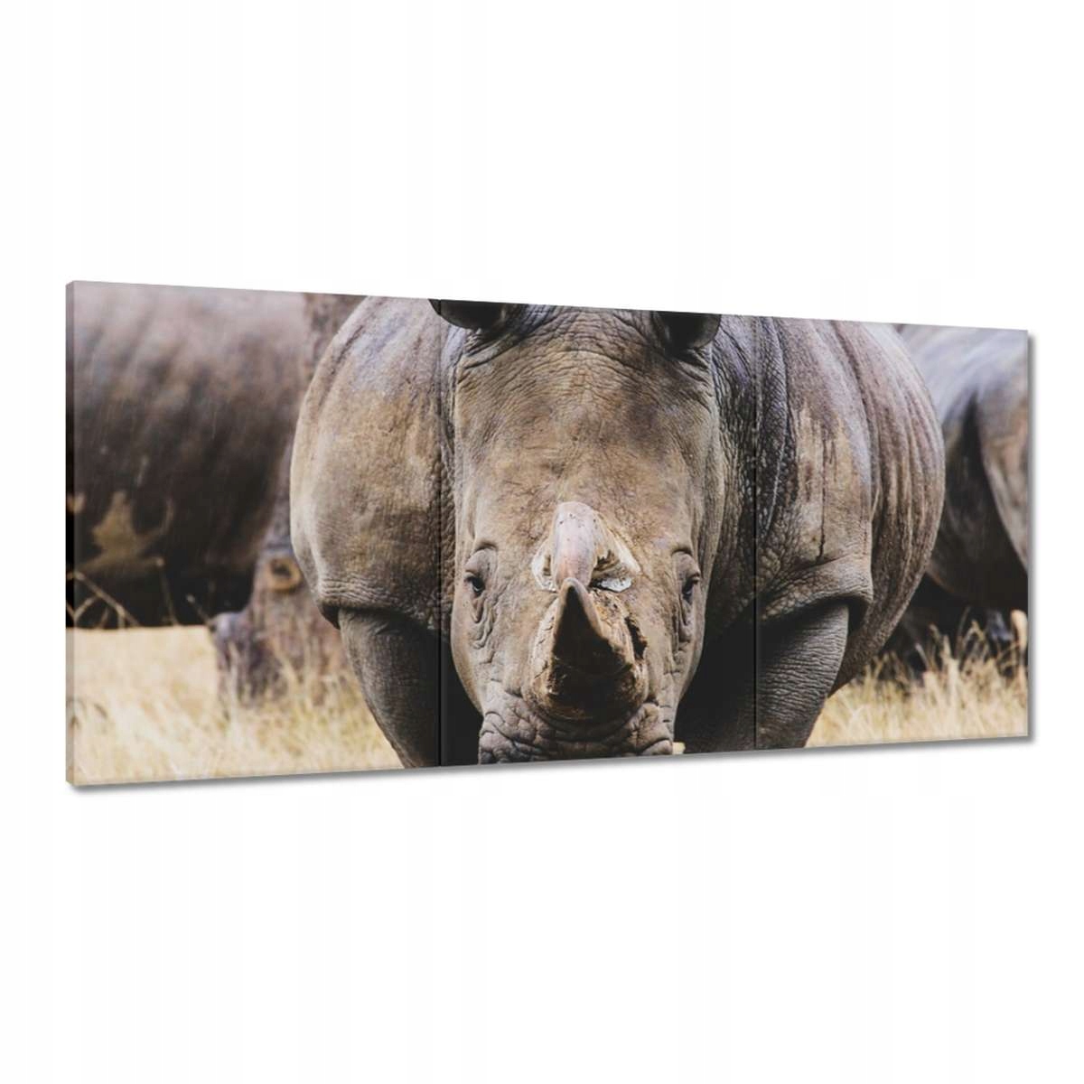 Obrazy 180x90 Zvieratá Zvieratká