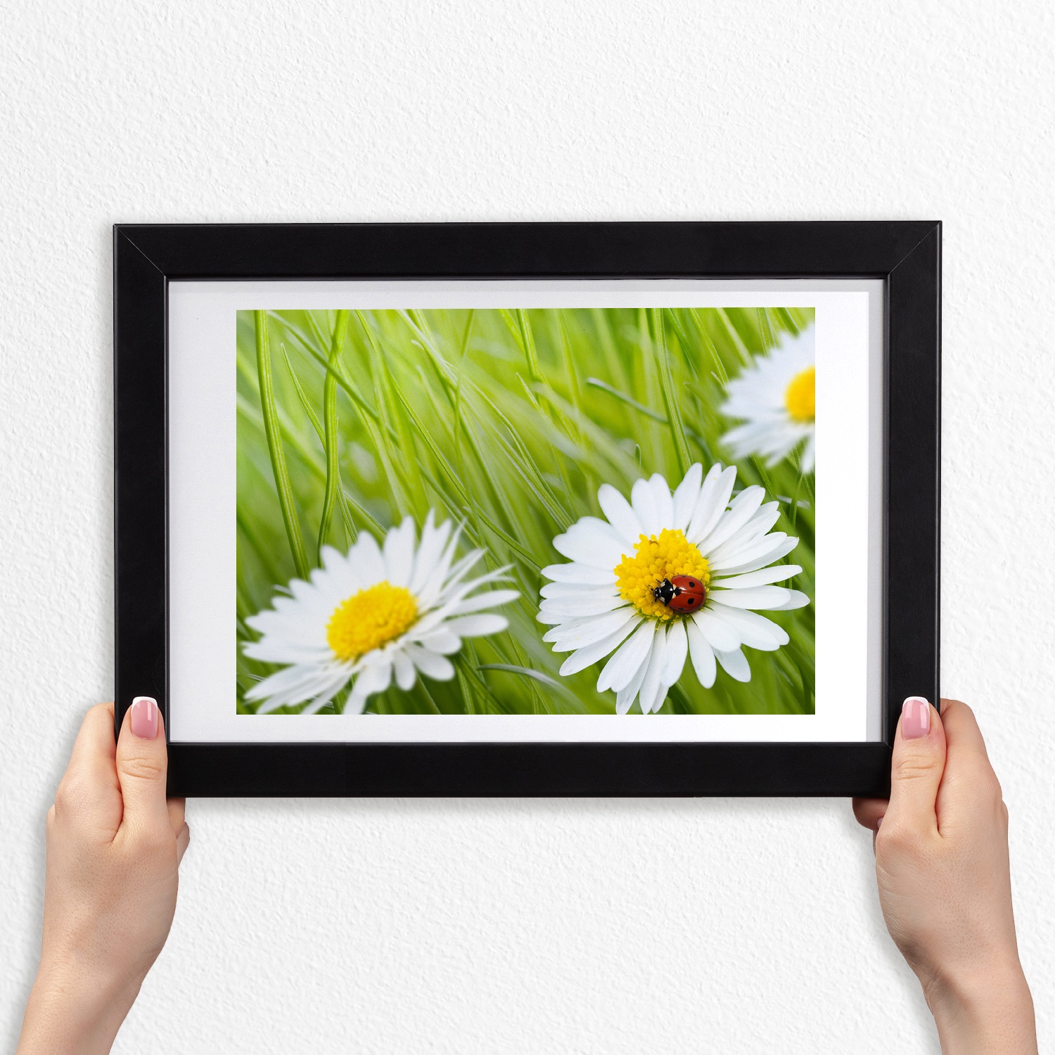 Závěsný fotoobraz s rámečkem mdf Sedmikrásky 30x20 cm