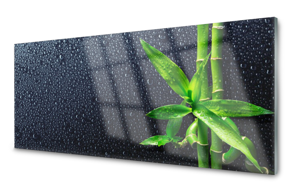 

Panel szklany do kuchni Bambus Roślina 125x50