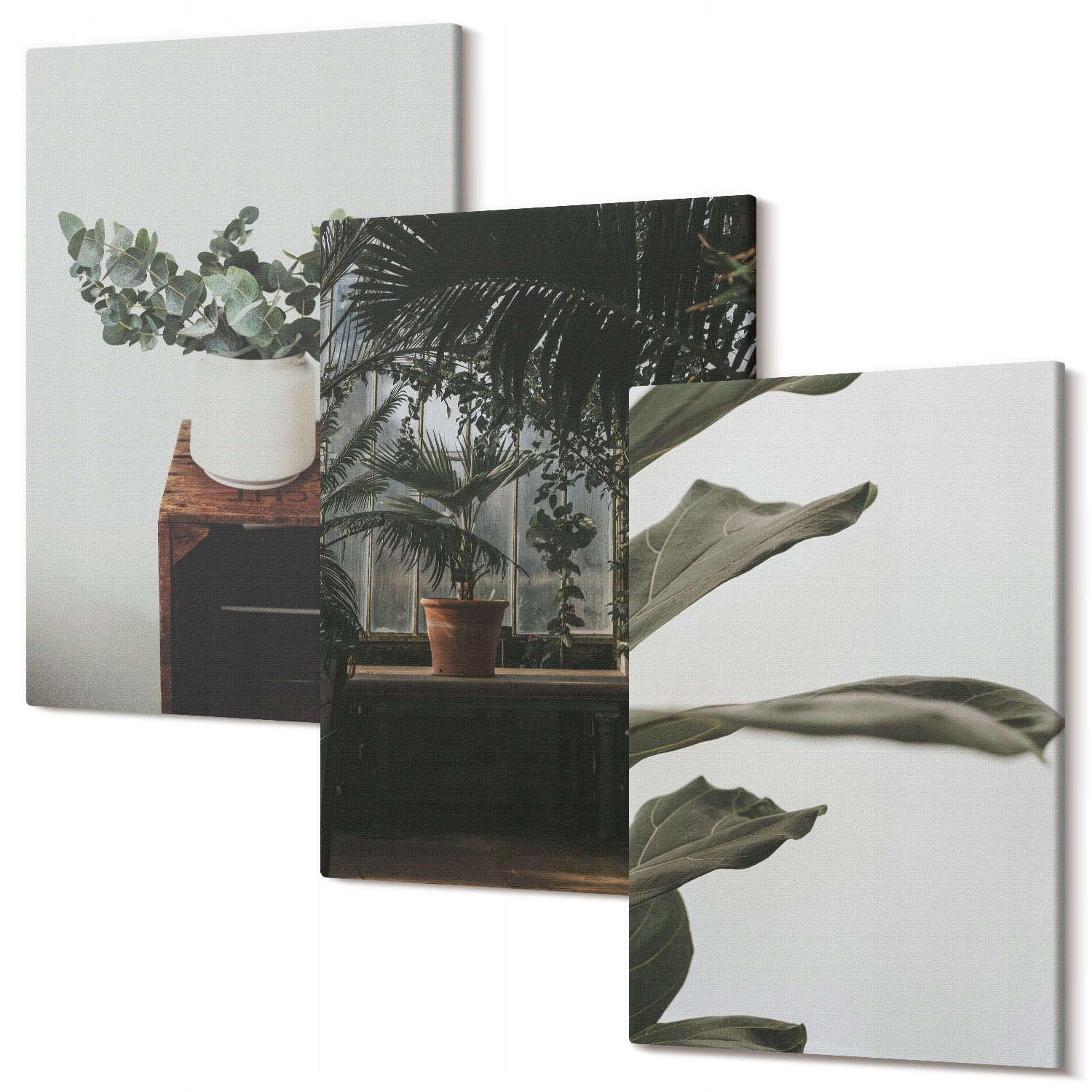 Obrazy na plátně Triptych do obývacího pokoje Rostliny květináče rustikální 30x20 cm