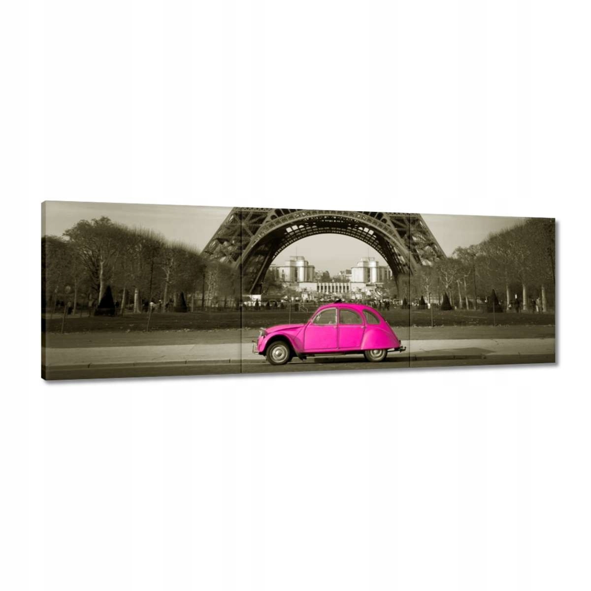 Obrazy 150x50 Růžový Citroen v Paříži