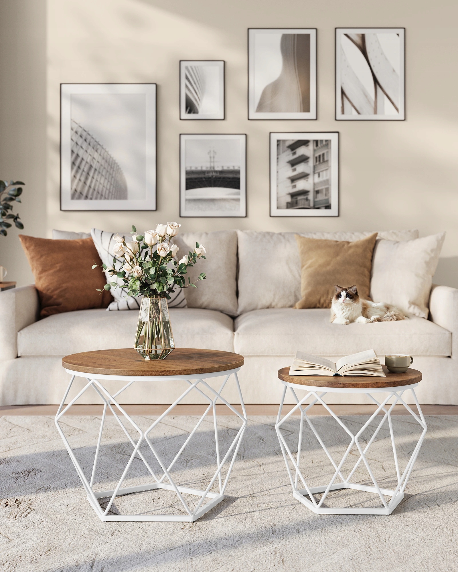 Súprava dvoch okrúhlych konferenčných stolíkov orech