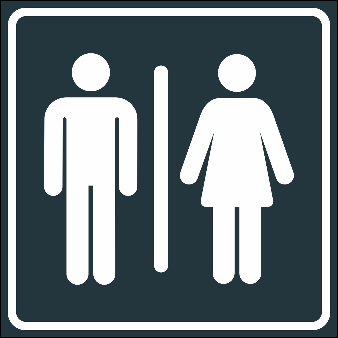 TOALETA MĘSKA DAMSKA TABLICZKA PIKTOGRAM WC ALU
