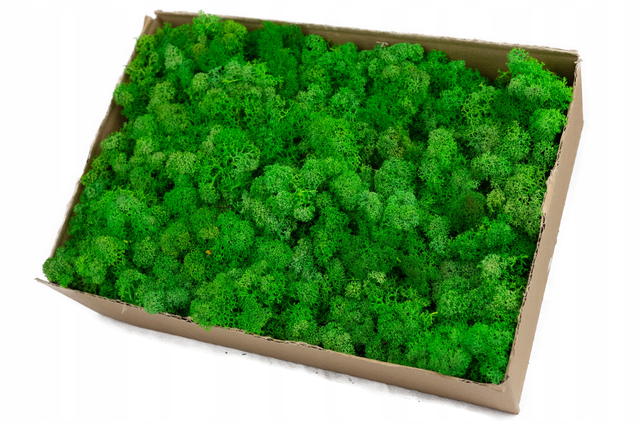 

Mech Chrobotek 500 Zieleń wiosenna 0.5kg