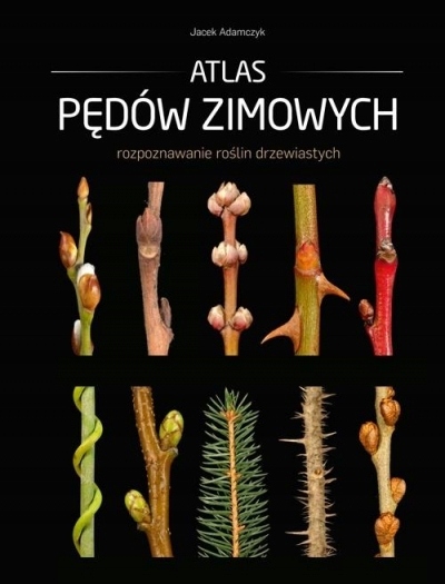 

Atlas pędów zimowych