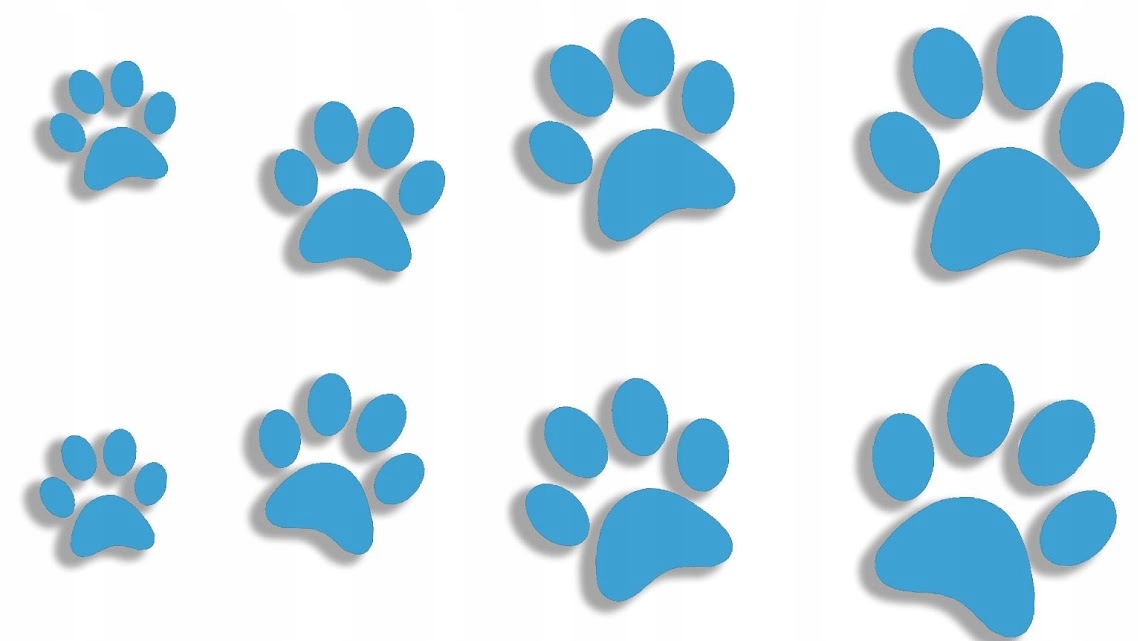 

Naklejki łapki kot pies 8 sztuk błękitne