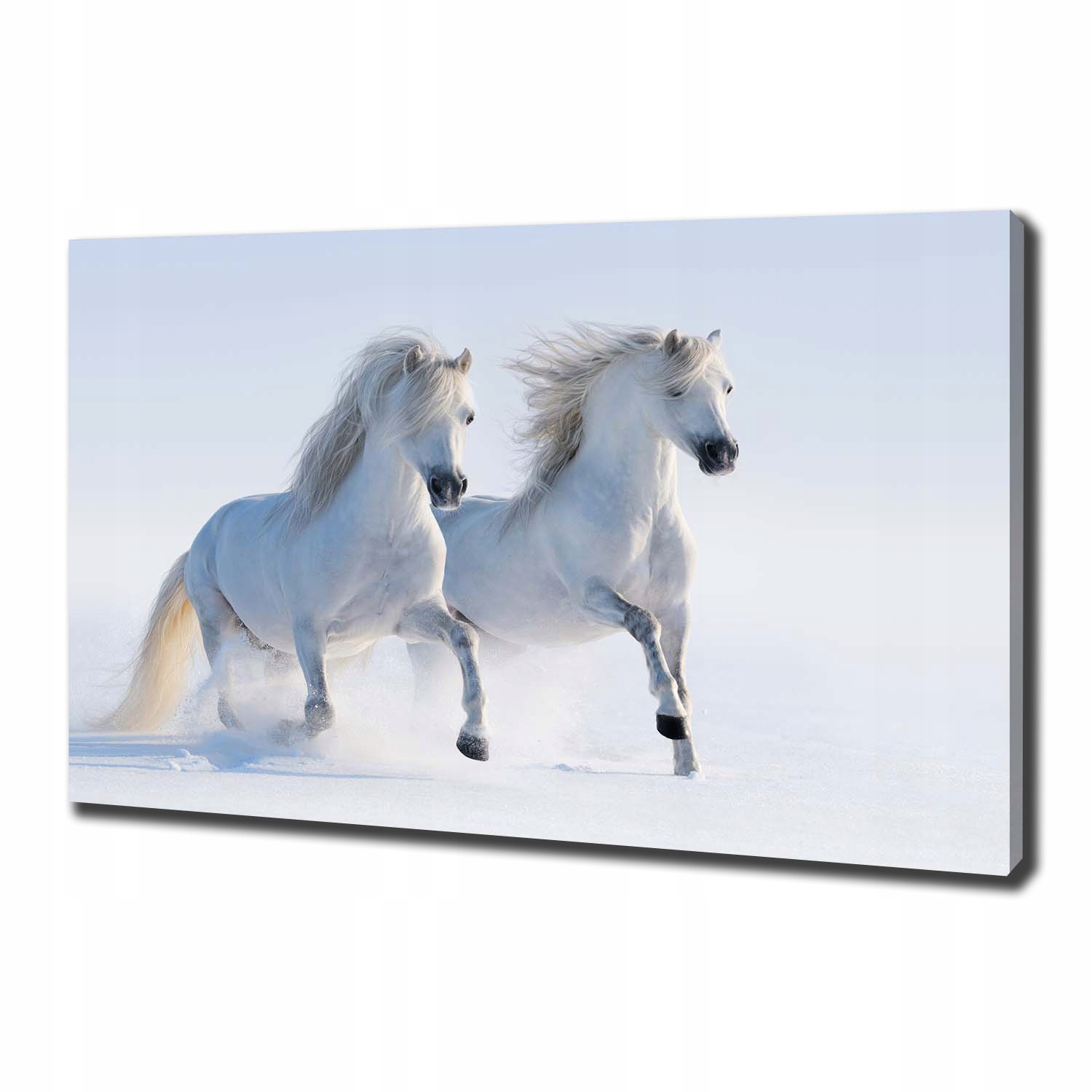 

Foto obraz na płótnie Dwa konie w śniegu 100x70 cm