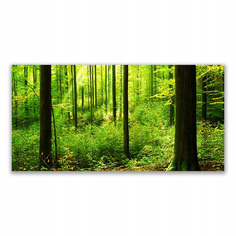 

Obraz nowoczesny 120x60 Las Zieleń Drzewa Natura