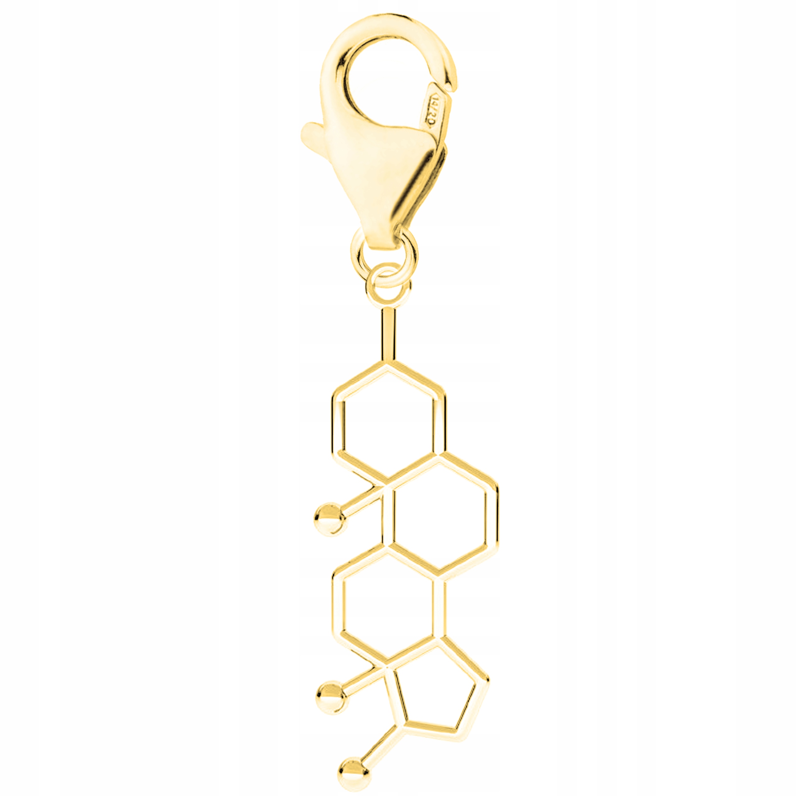 Zlatý přívěsek Vzor Testosteron stříbro 925