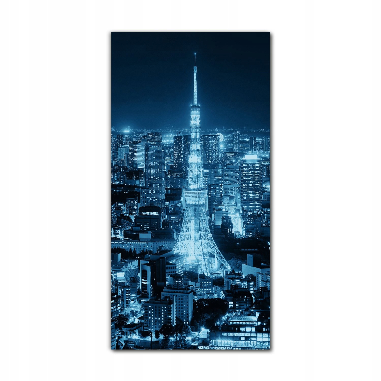 

Obraz na szkle do sypialni 70x140 Horyzont Tokio