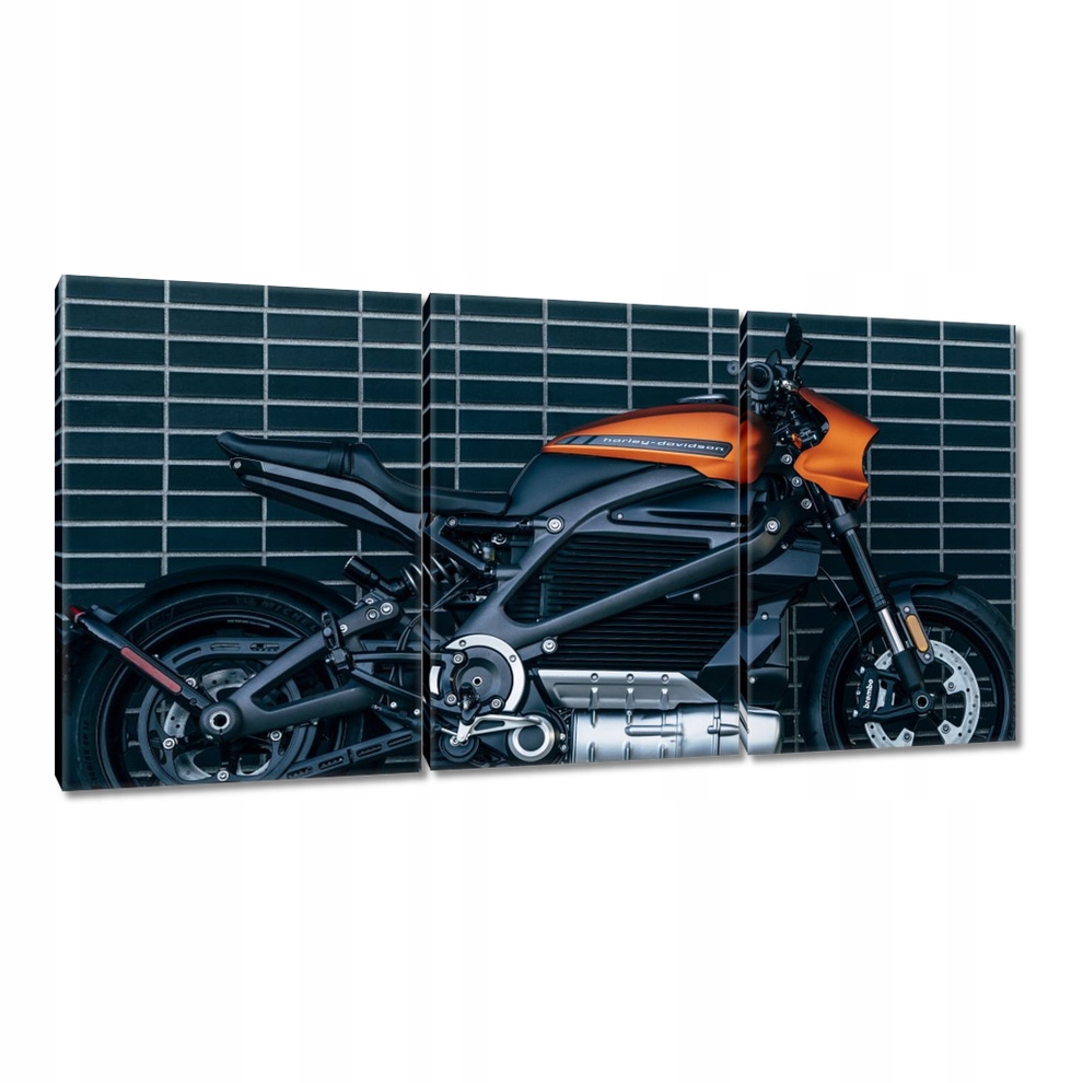 

Obrazy 120x60 Harley Davidson Motocykl