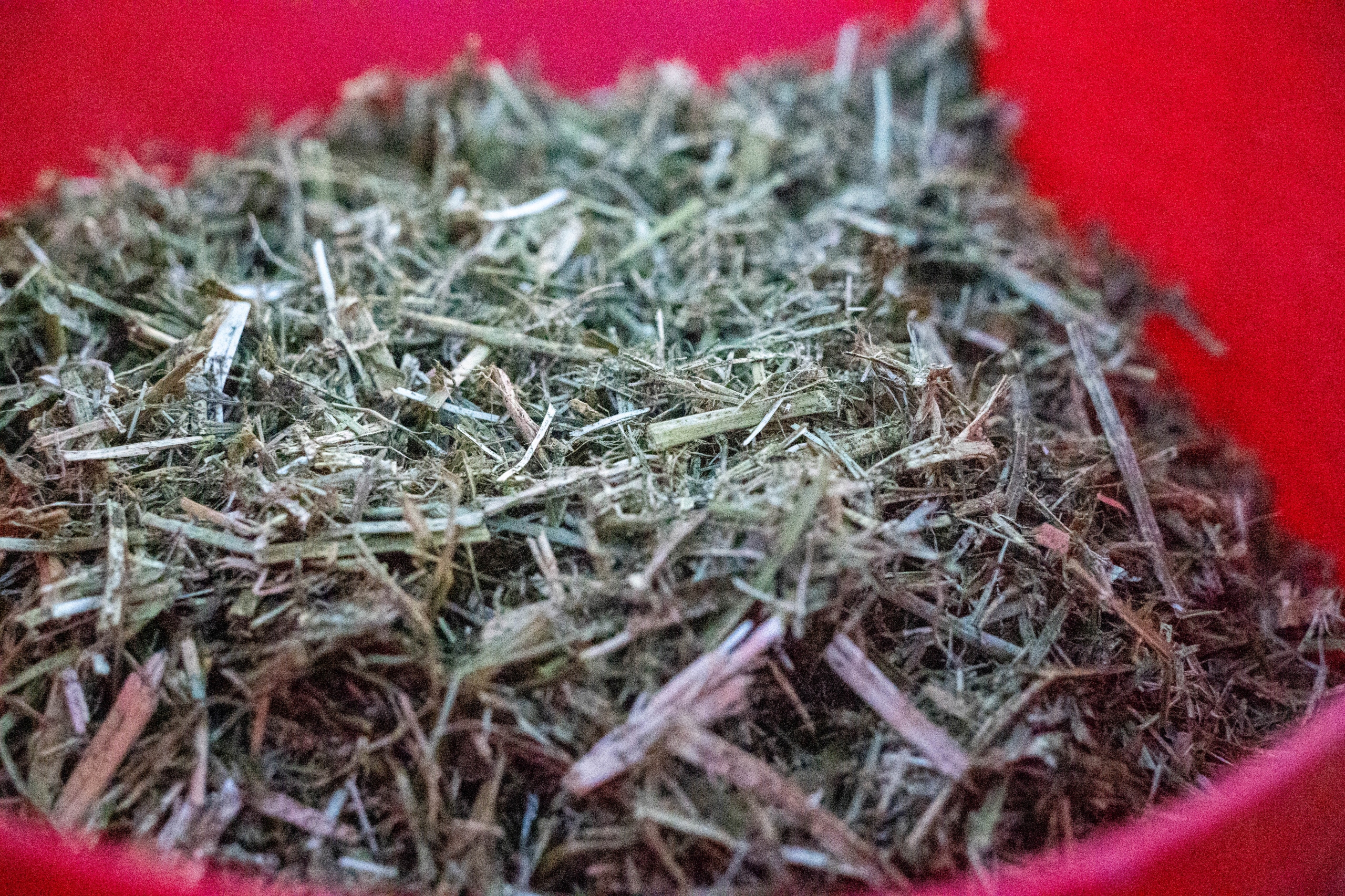 Sieczka Hartog Lucerne Mix 18 kg sieczka z lucerny Marka inna