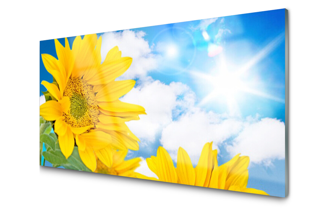 

Panel szklany dekor Kwiaty Roślina 120x60 + Klej