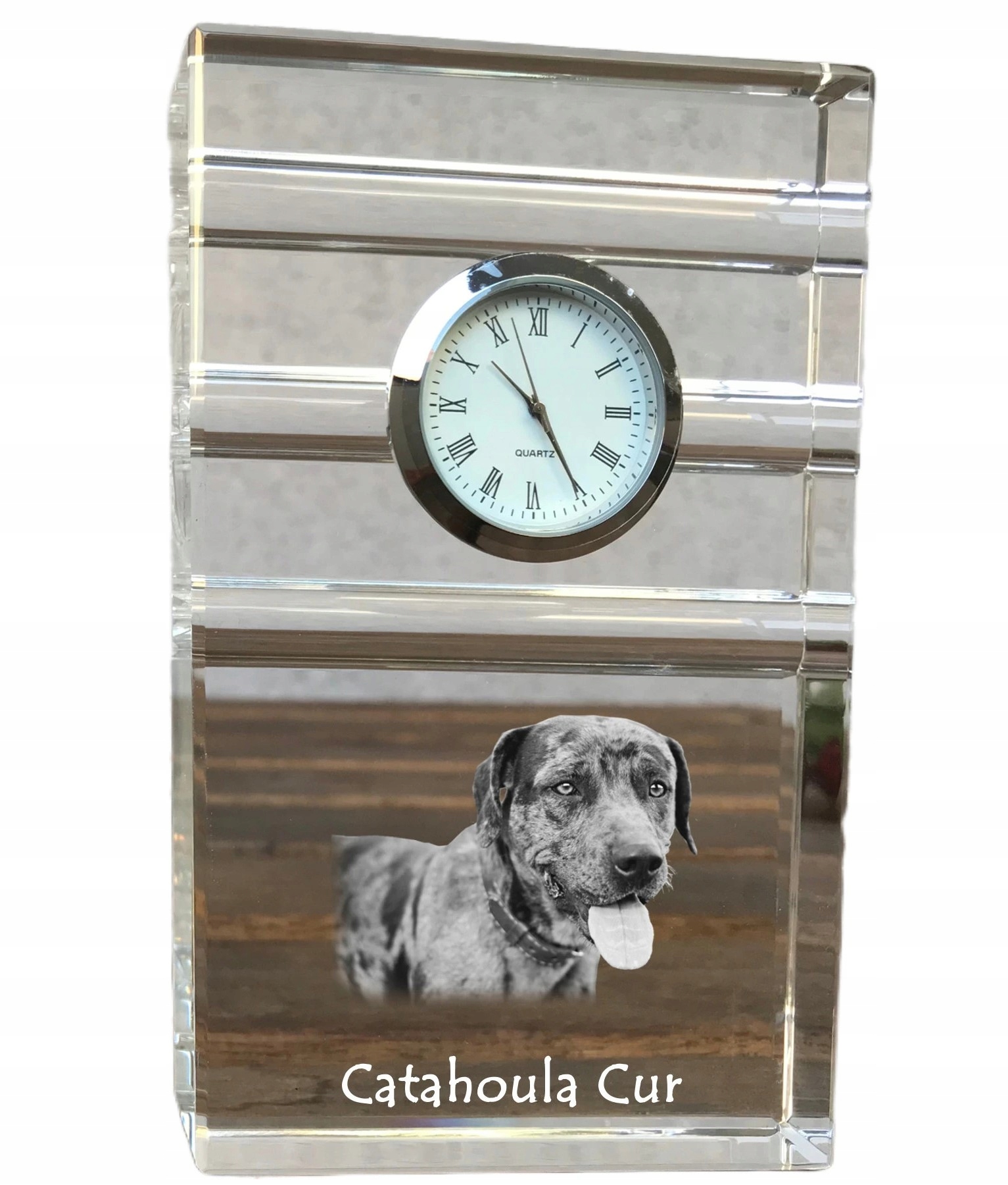 Catahoula Leopard Dog krištáľové stolové hodinky so psom s vašou fotografiou