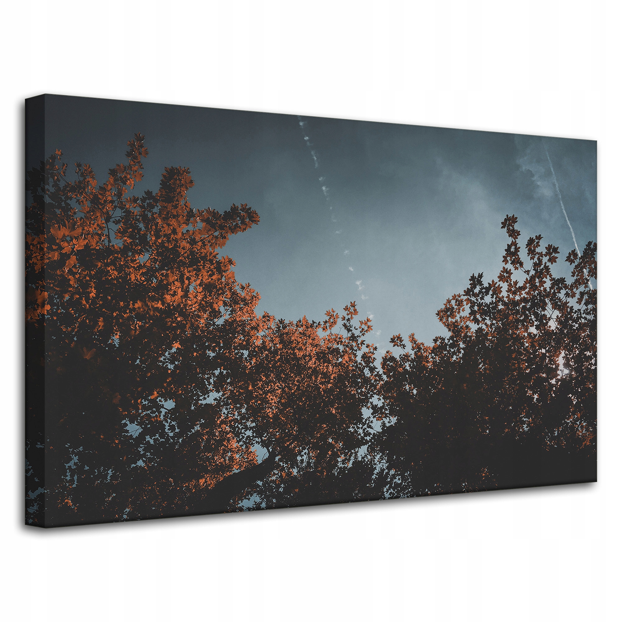 Obraz Canvas Příroda Podzimní koruny stromů 80x50 cm