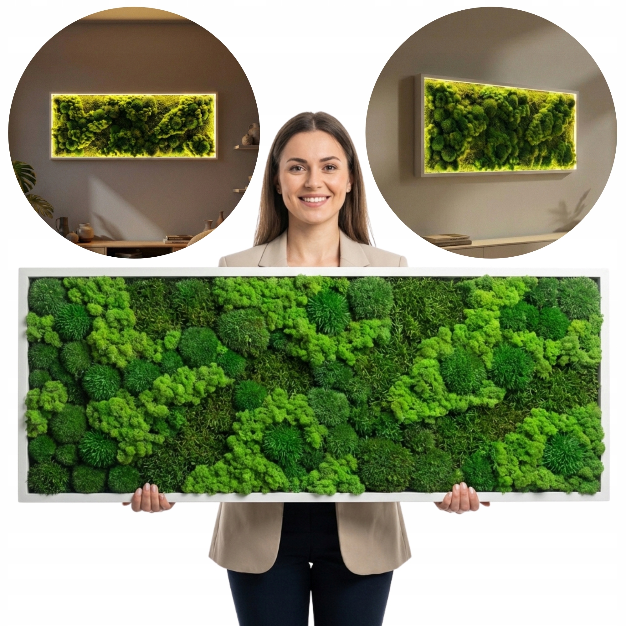 Obraz z mechu Led živý Mech Chrobotek polštářový plochý Bezúdržbový premium