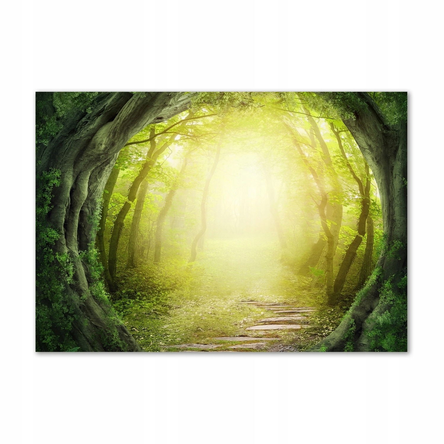 

Foto obraz szkło hartowane Tunel z drzew 100x70