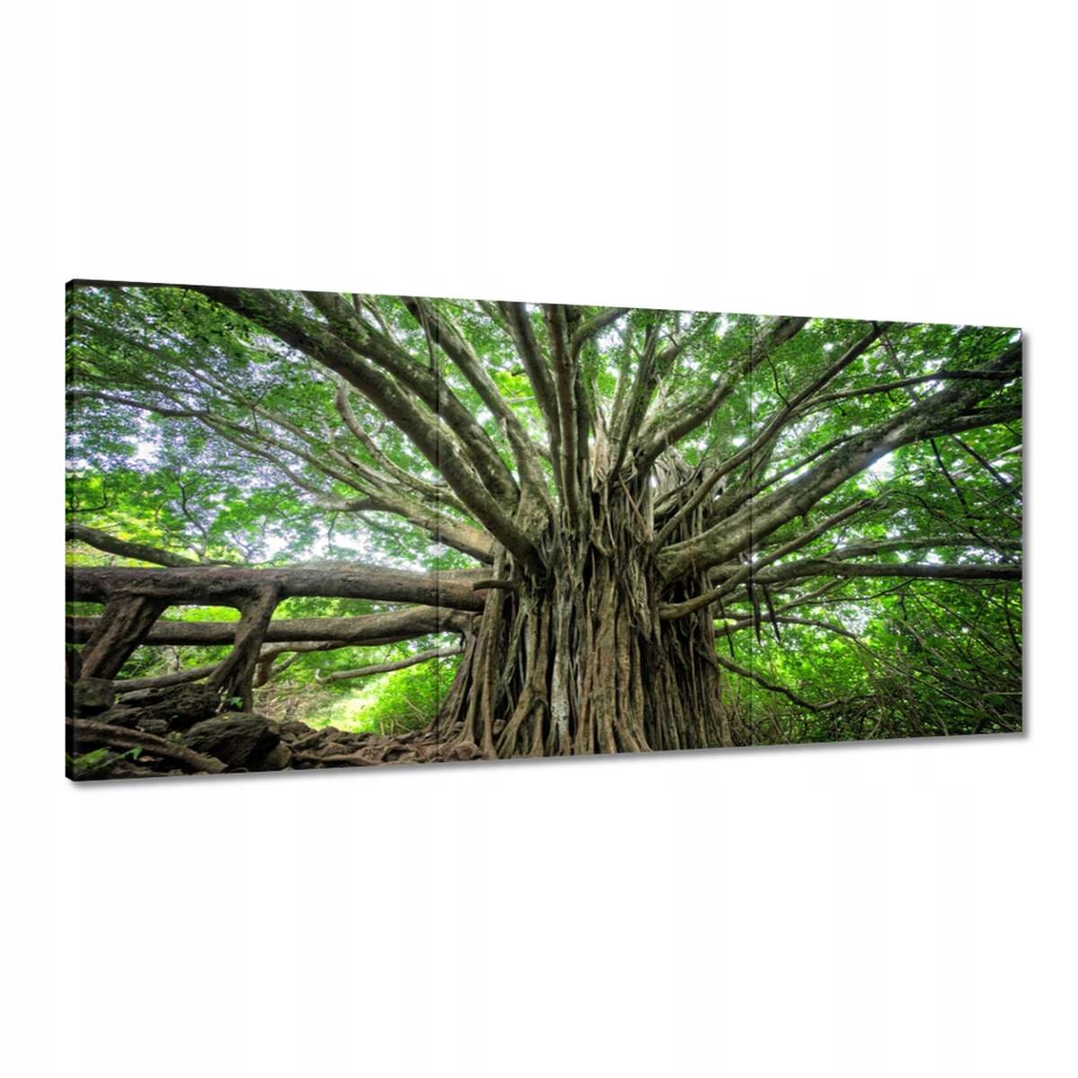 Obrazy 180x90 Strom Stromy Pohľad