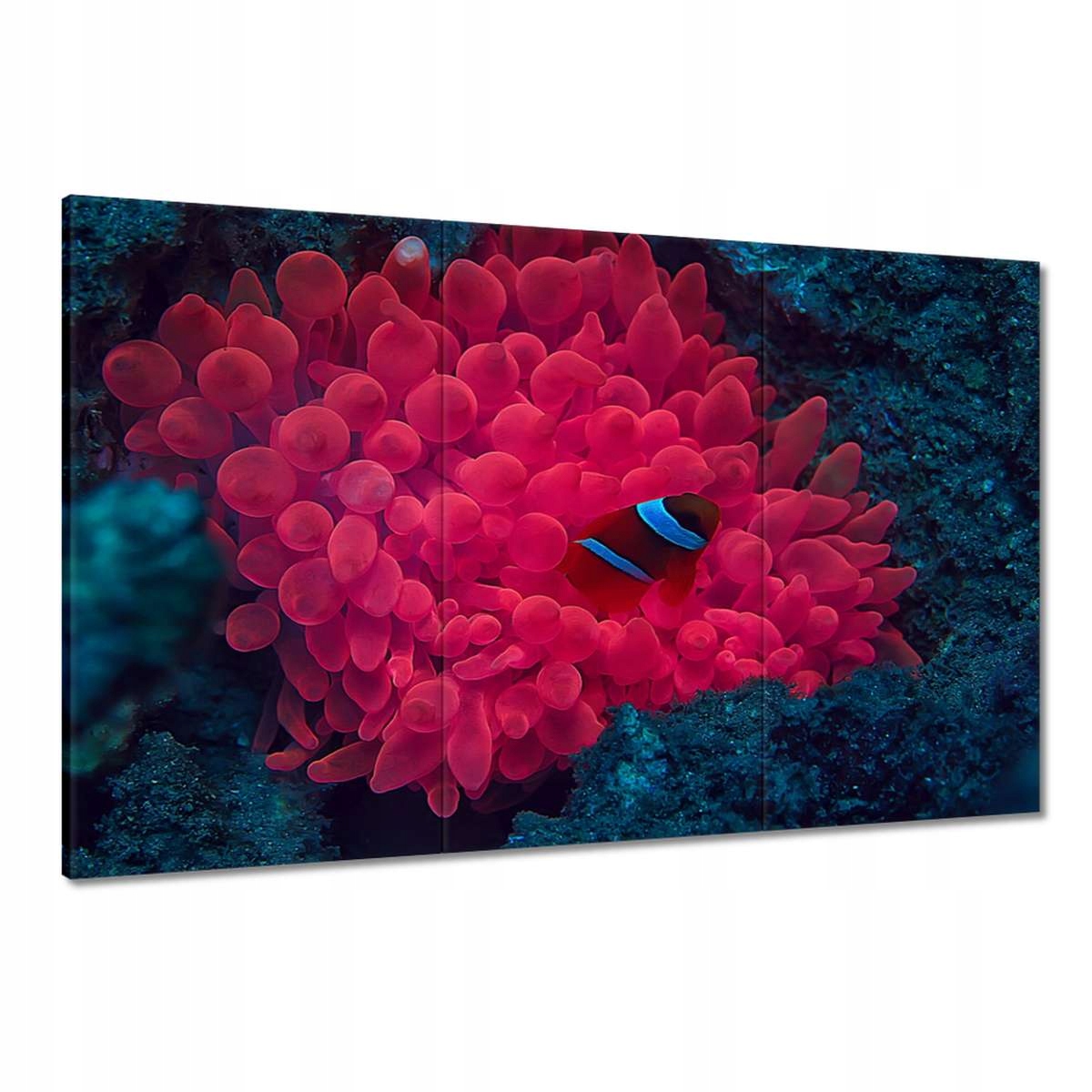 Obrazy 120x80 Divoká příroda v moři