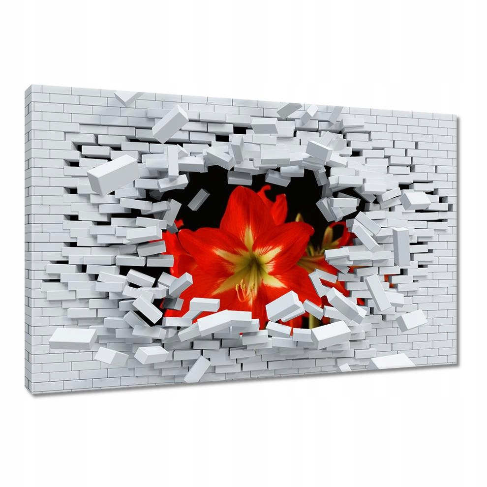 

Obrazy 60x40 Amarylis