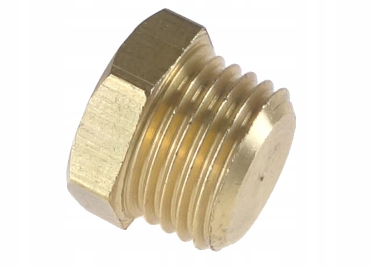 ZAŚLEPKA GZ-19-18 KOREK M10x1 zatyczka listwy