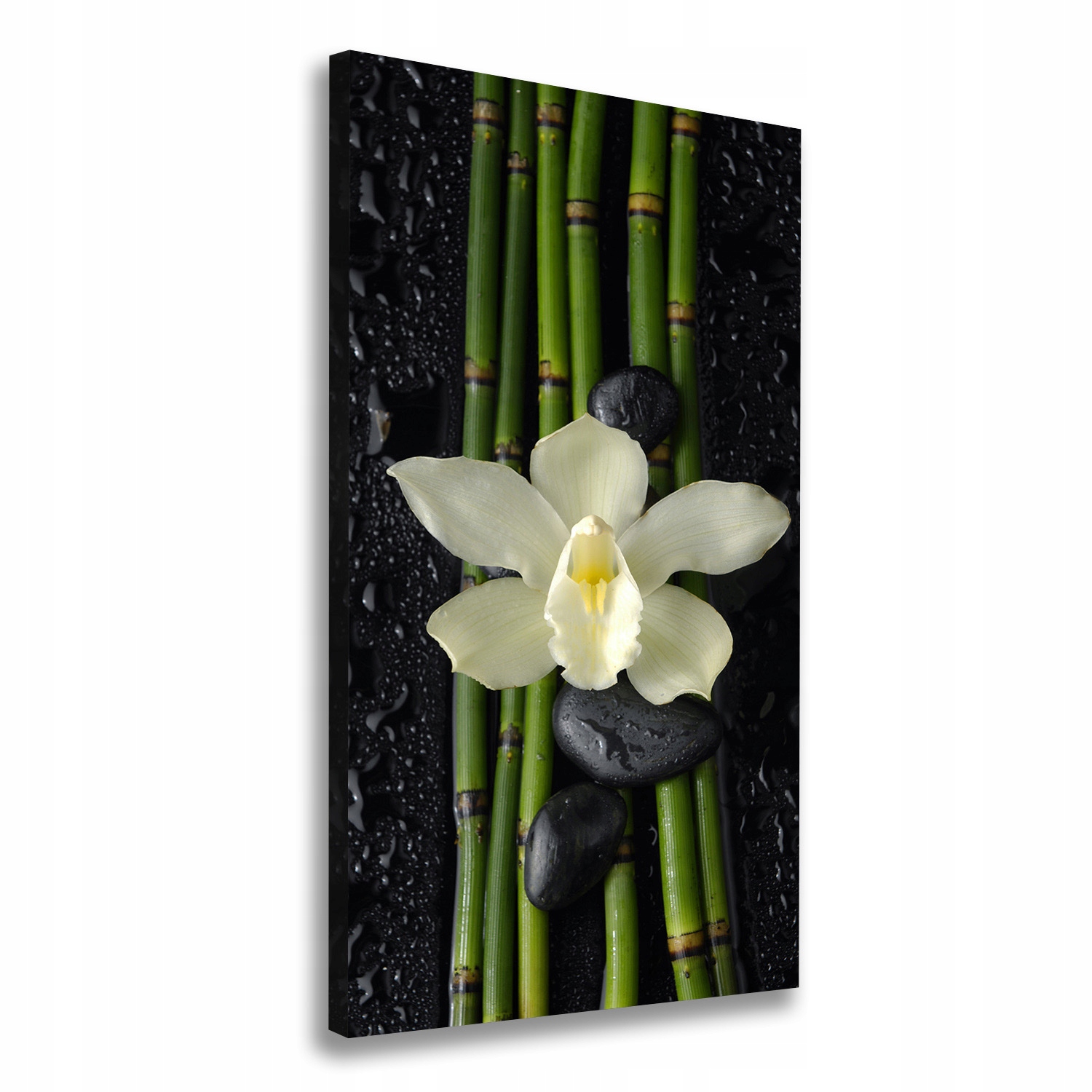 

Foto obraz na płótnie Orchidea i bambus 60x120 cm