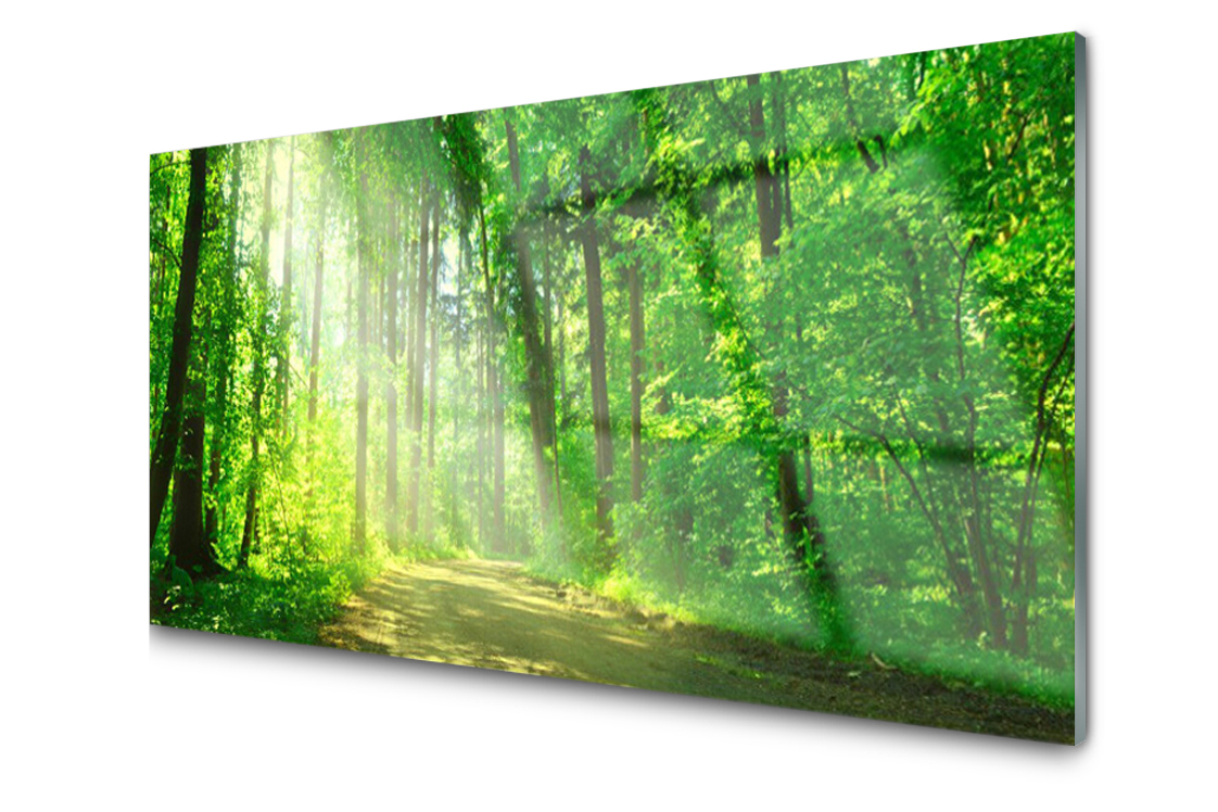 

Panel szklany Płytka Las dróżka Drzewa 120x60