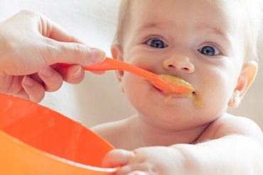 Rozdrabniacz mały siekacz ręczny Teesa 180 ml Typ rozdrabniacz