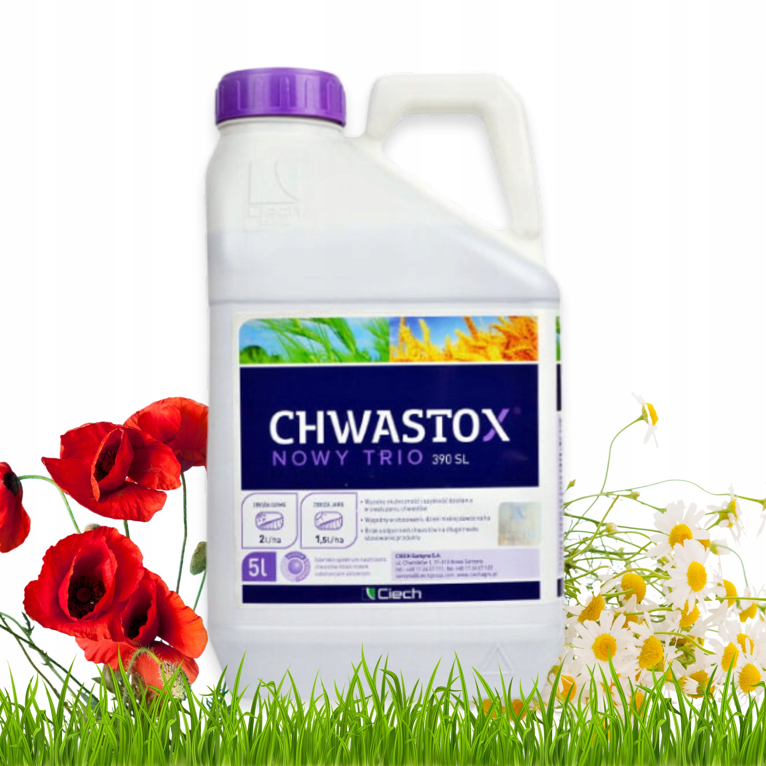Chwastox Nowy Trio 390 Sl Ciech 5L na chwasty w trawniku, zbożach mniszek