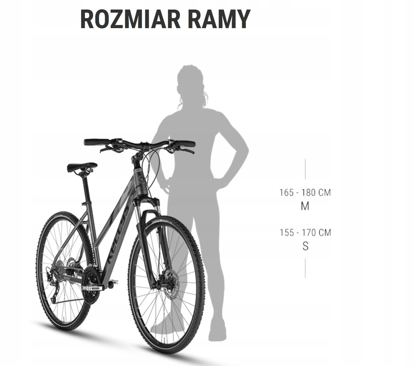 KELLYS PHEEBE 10 2023 RASPBERRY L-19" ROWER-SPORT_PL Kod producenta 72018