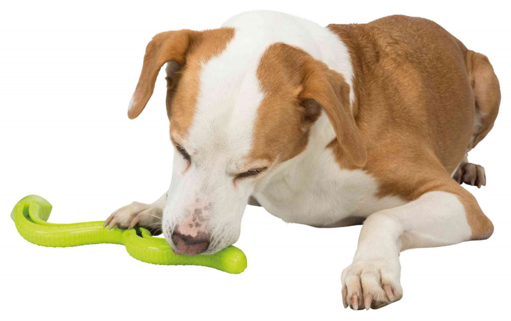 

Trixie Wąż Tpr na smakołyki Snack-Snake (42 cm)