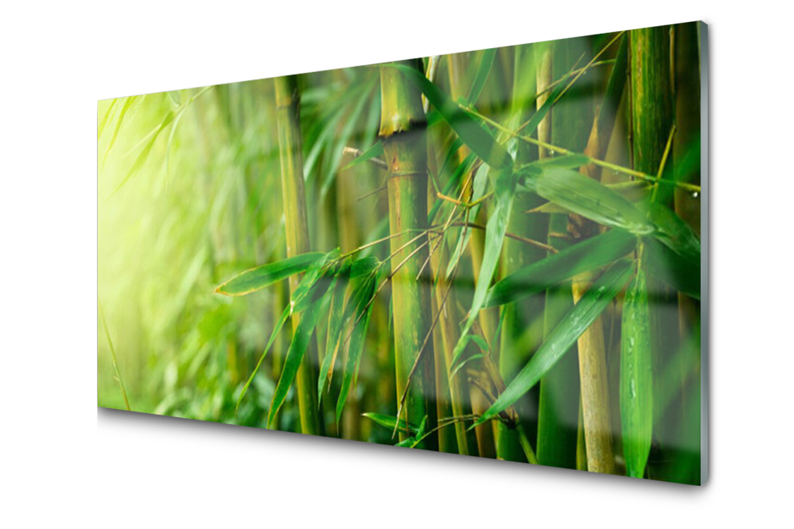 

Panel szklany dekor Bambus Roślina 140x70 + Klej