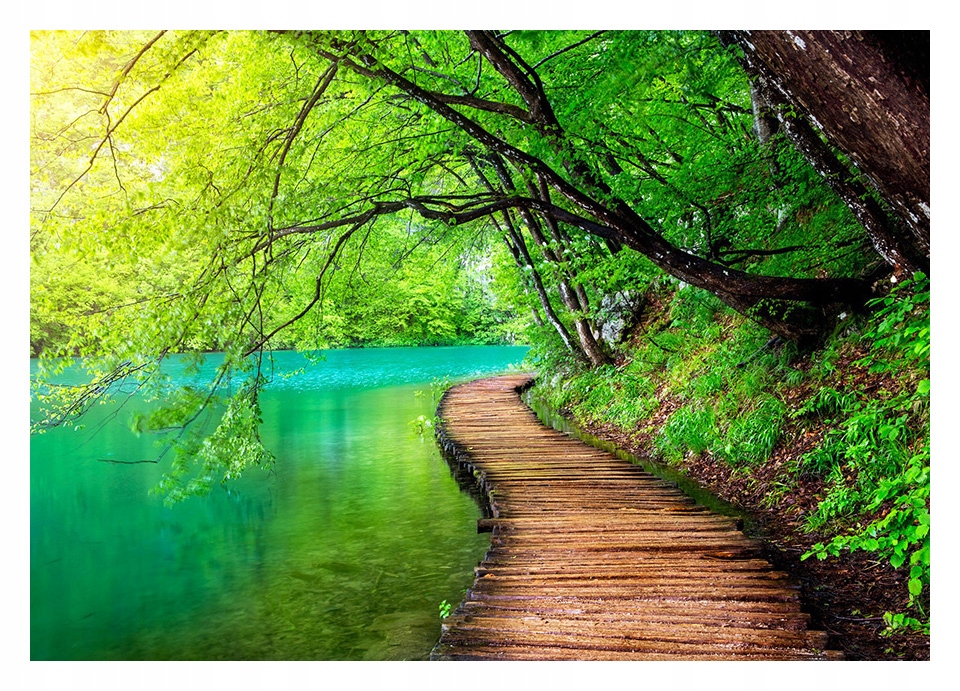 

Fototapeta 3D jezioro drzewa 368x254 F00325