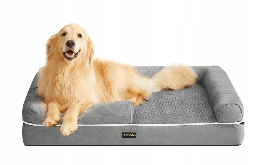 Legowisko Ortopedyczne Dla Psa Zdejmowana Poszewka Łóżko Kanapa Ergonomia