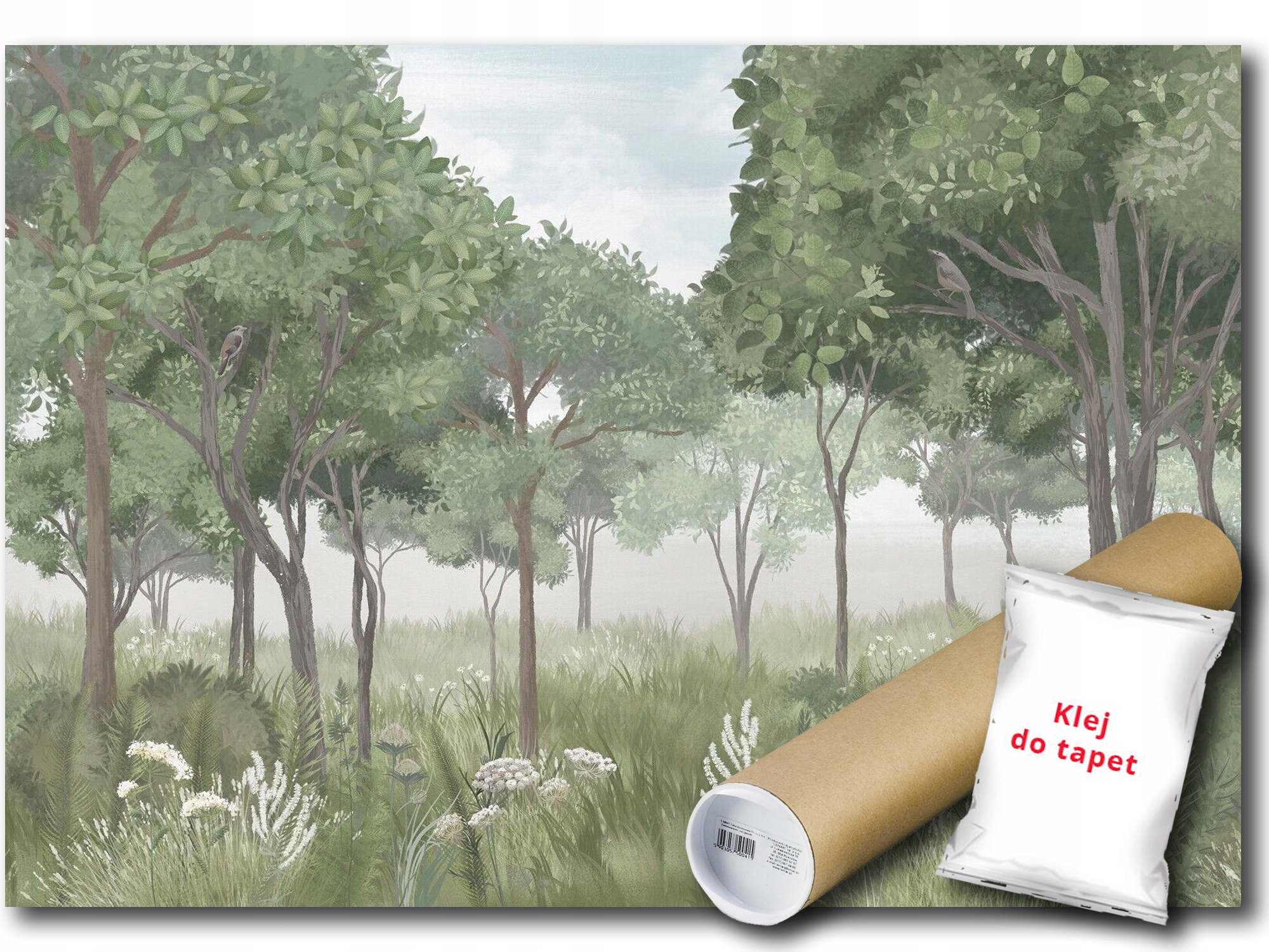 Vinylová Fototapeta Lesní Park Stromy 208x146