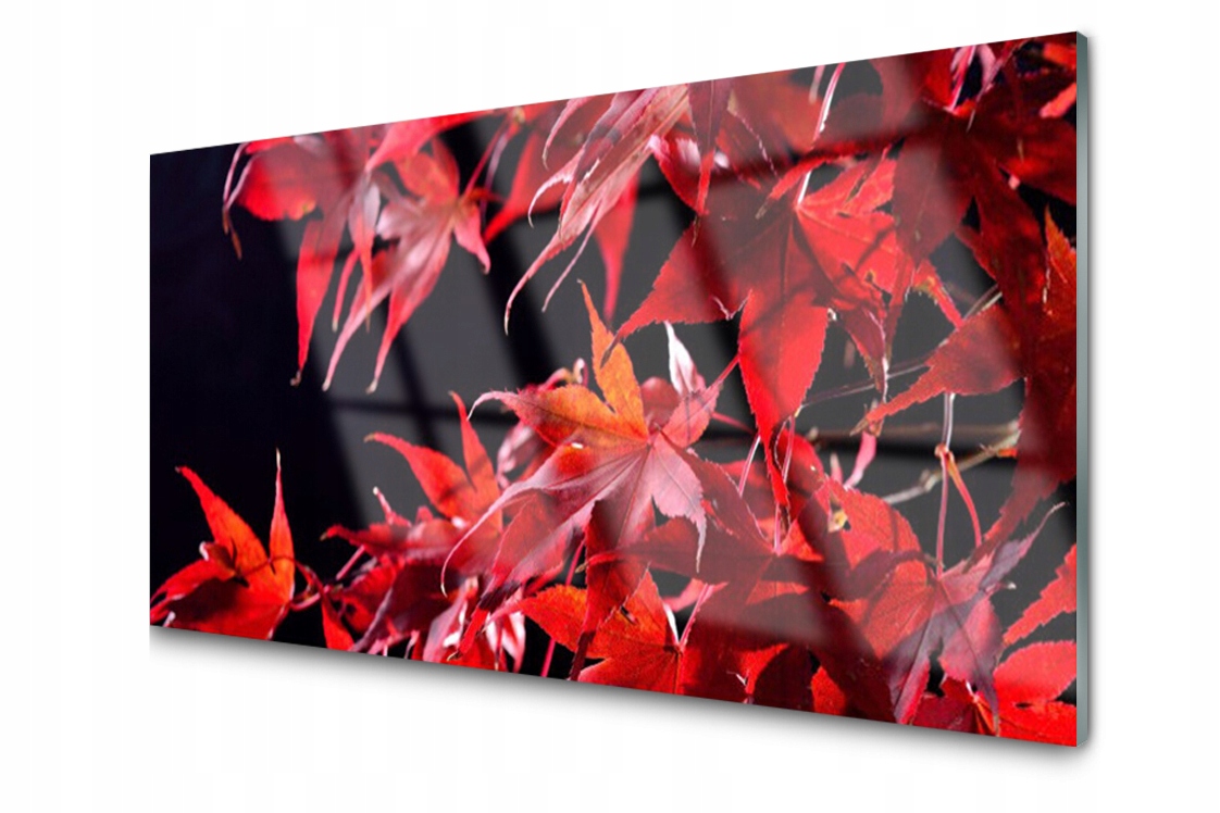 Sklenený panel Doska Listy Rastlina 120x60 Lepidlo