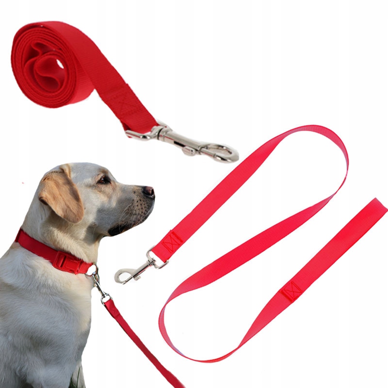 

Solidna Smycz Taśmowa Dla Psa Z Rączką 120X2 cm L