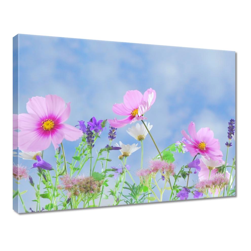 

Obrazy 40x30 Delikatne kwiatki