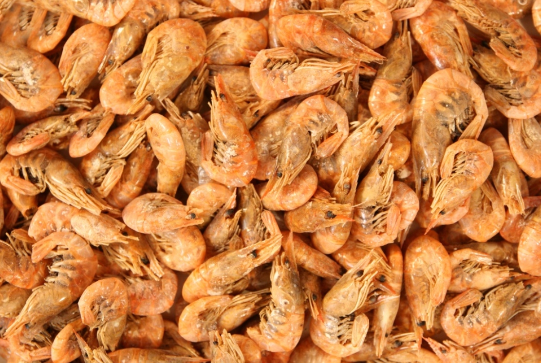 Sušené Krevety Shrimps Glopex Krmivo Pro Želvy 1000 G Sušená Kreveta