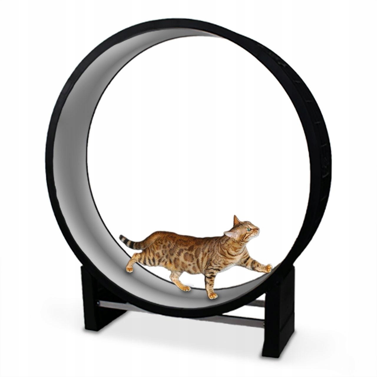 Běžecký pás pro kočky Canadian Cat Cat in Motion černo-šedý