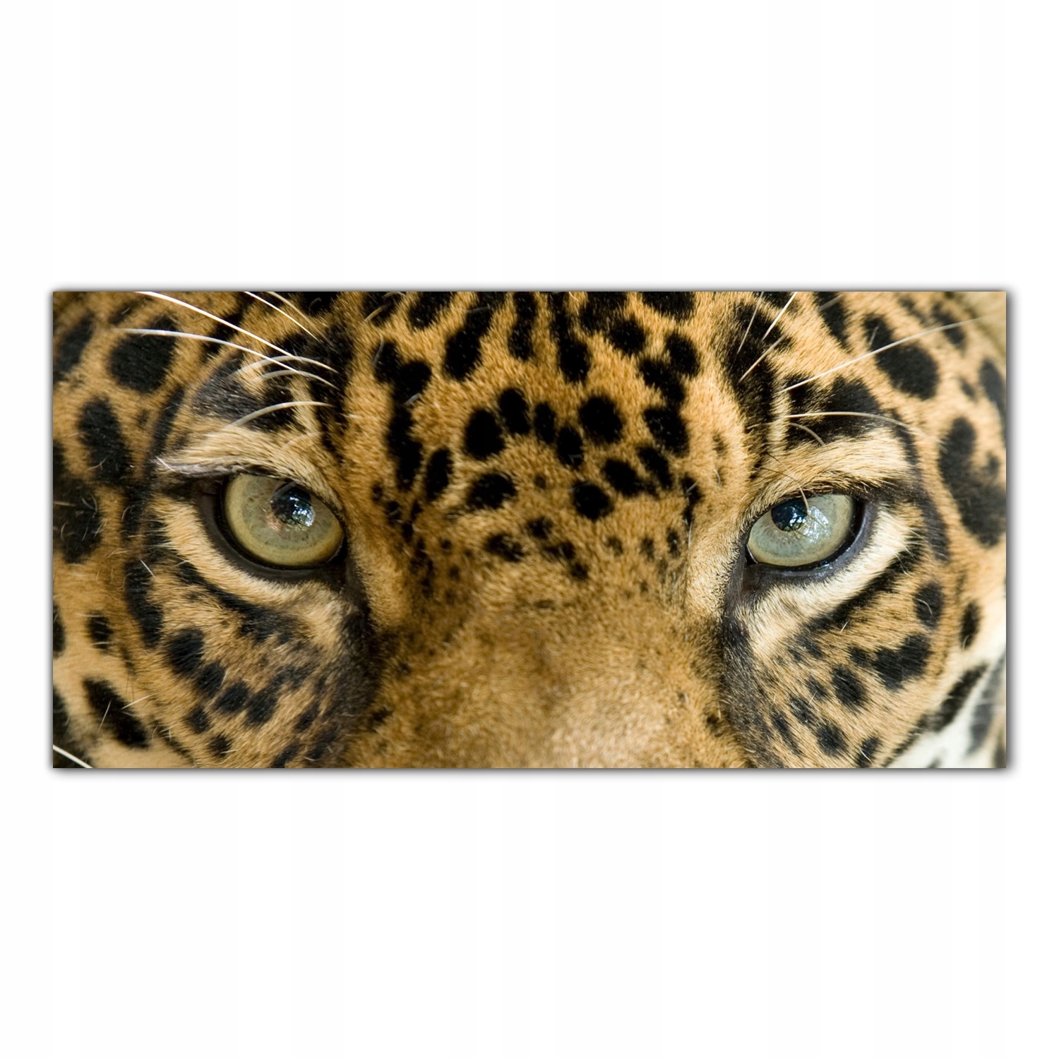 

Hartowany Obraz Szklany Lampart Zwierzę Kot 120x60