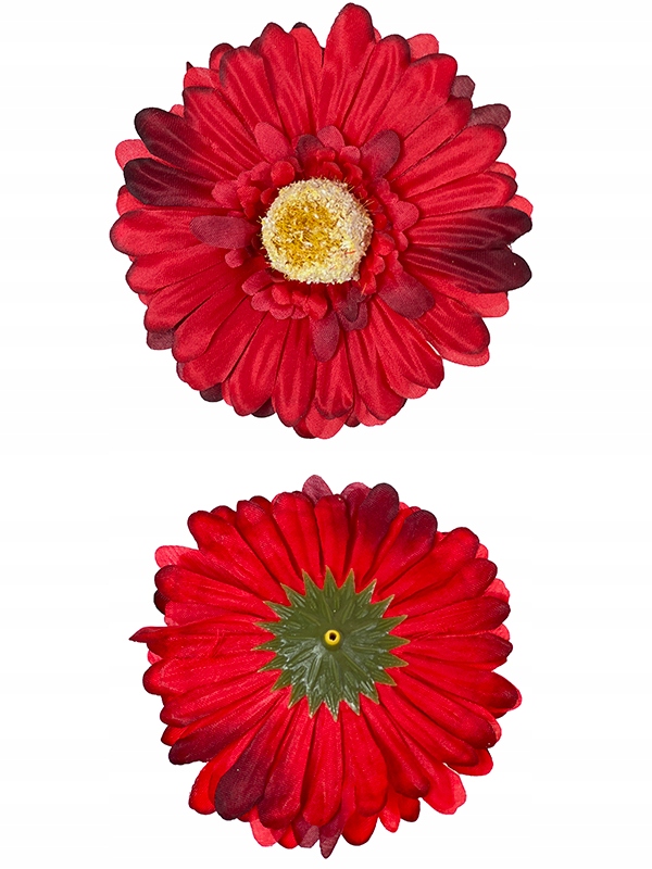 

Gerbera główka wyrobowa B19B Czerwony/bordo (10cm)