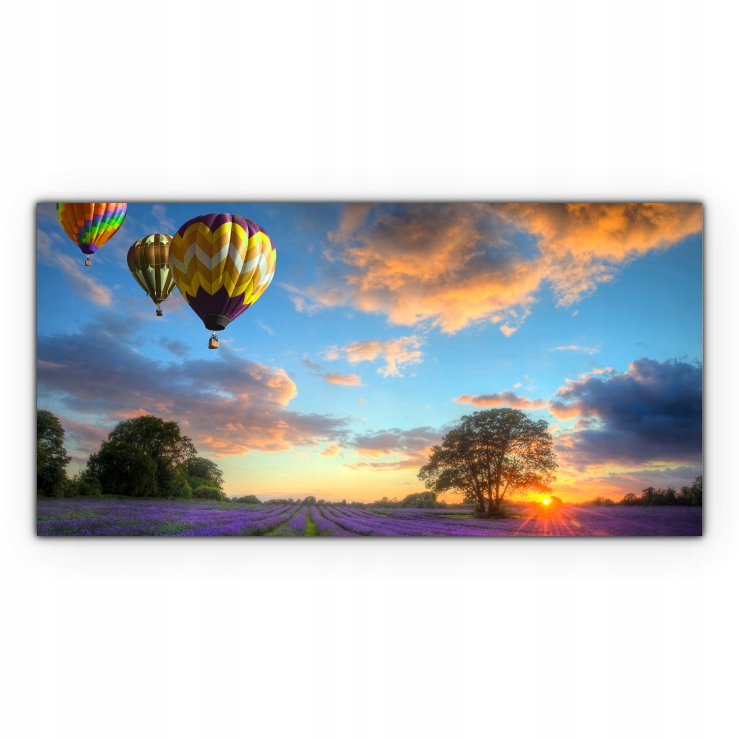 

Canvas do sypialni 140x70 Balon Łąka Pole Lawenda