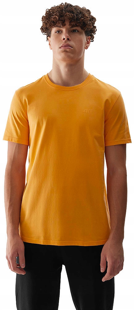 KOSZULKA MĘSKA 4F T-SHIRT BAWEŁNIANY NA CO DZIEŃ ZESTAW 4 PAK r.L Model 4FSS23TTSHM536