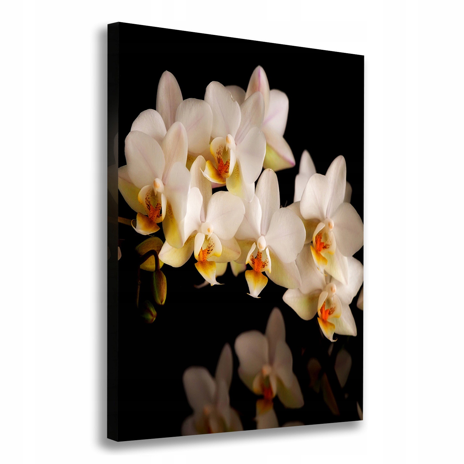 

Foto obraz na płótnie do salonu Orchidea 70x100 cm