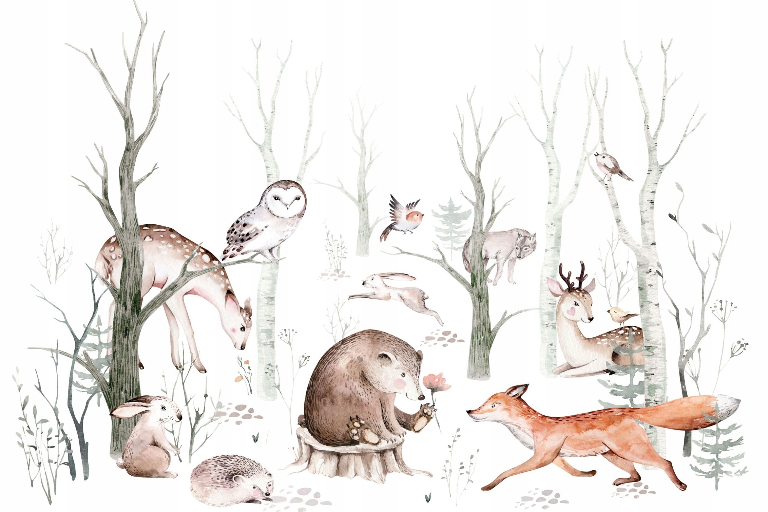 

Fototapety fototapeta na ścianę zwierzęta las 420